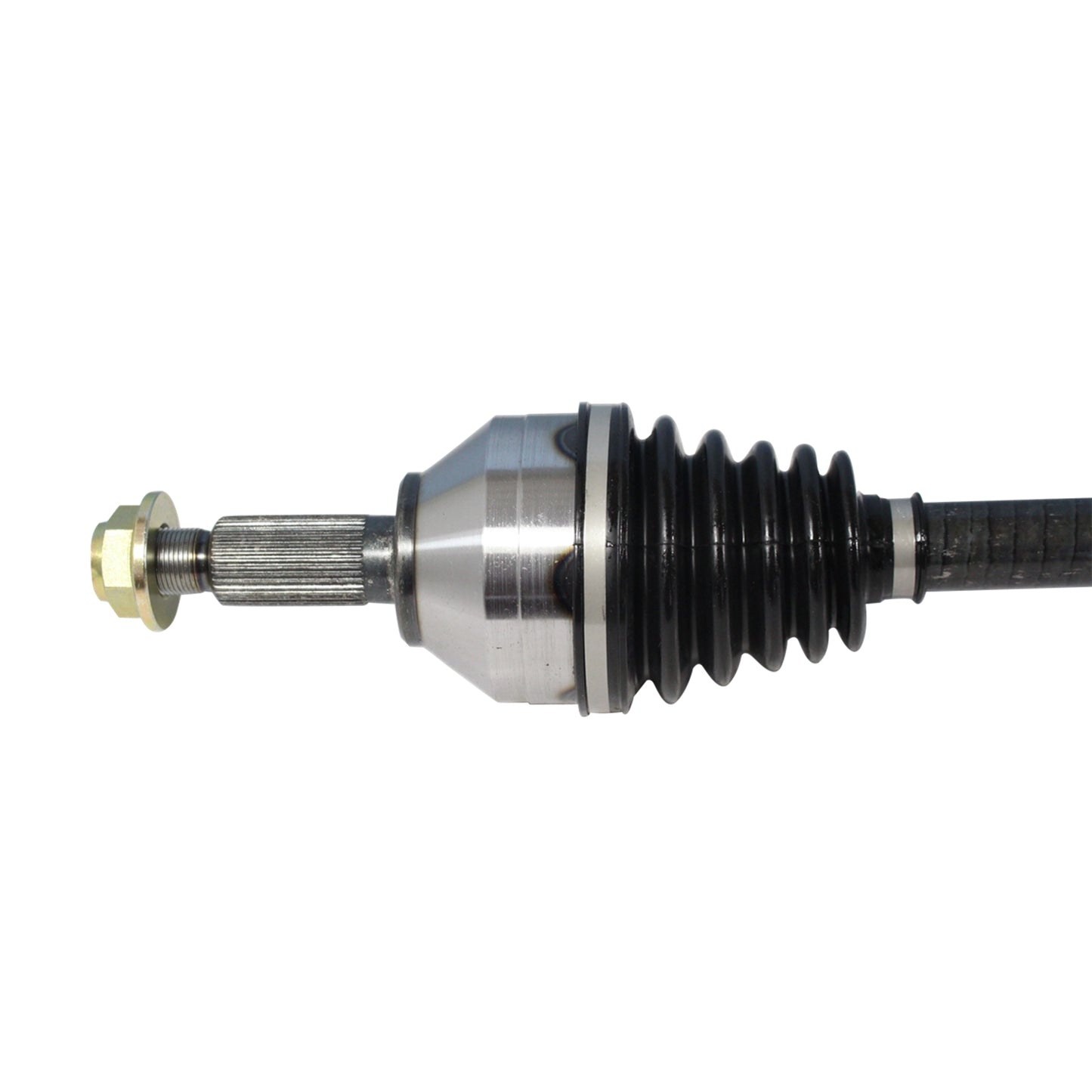 NCV11557_1.jpg