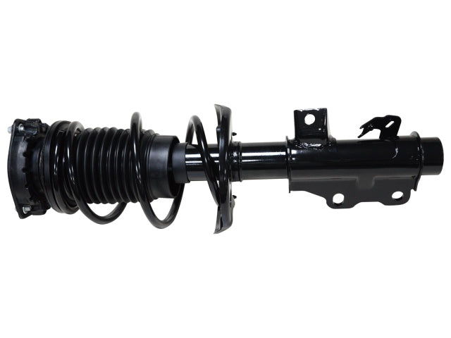813137_2.jpg