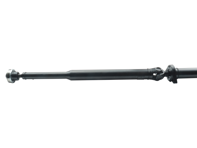 PS900225_1.jpg