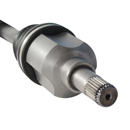 NCV11043_4.jpg
