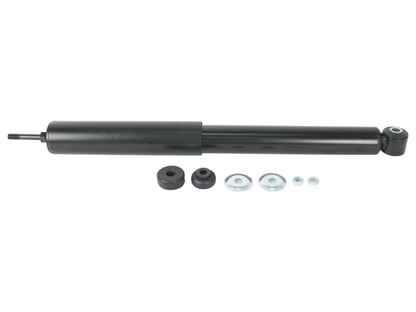 GS8095.jpg