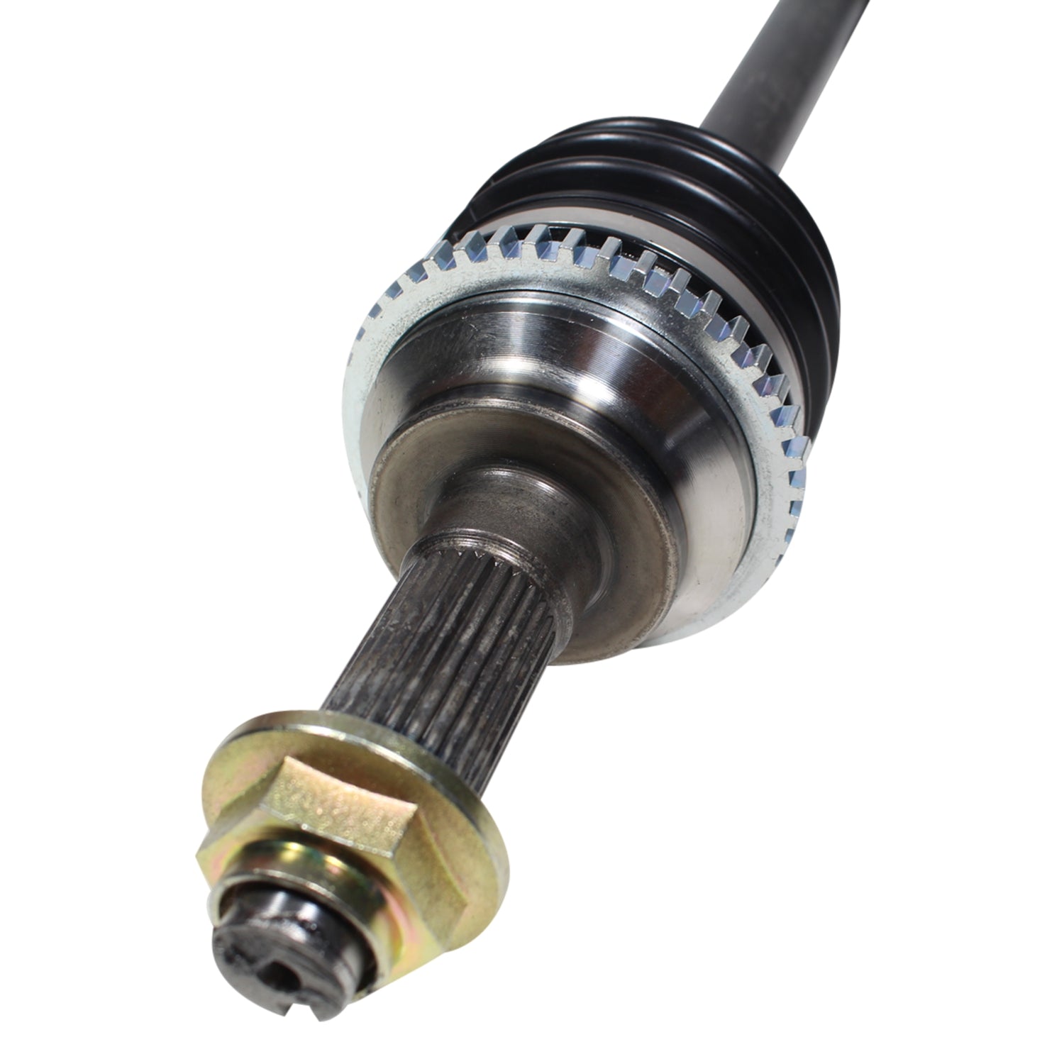 NCV47537_3.jpg