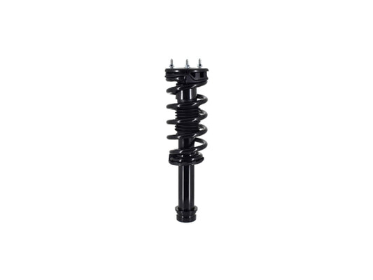 883476.jpg