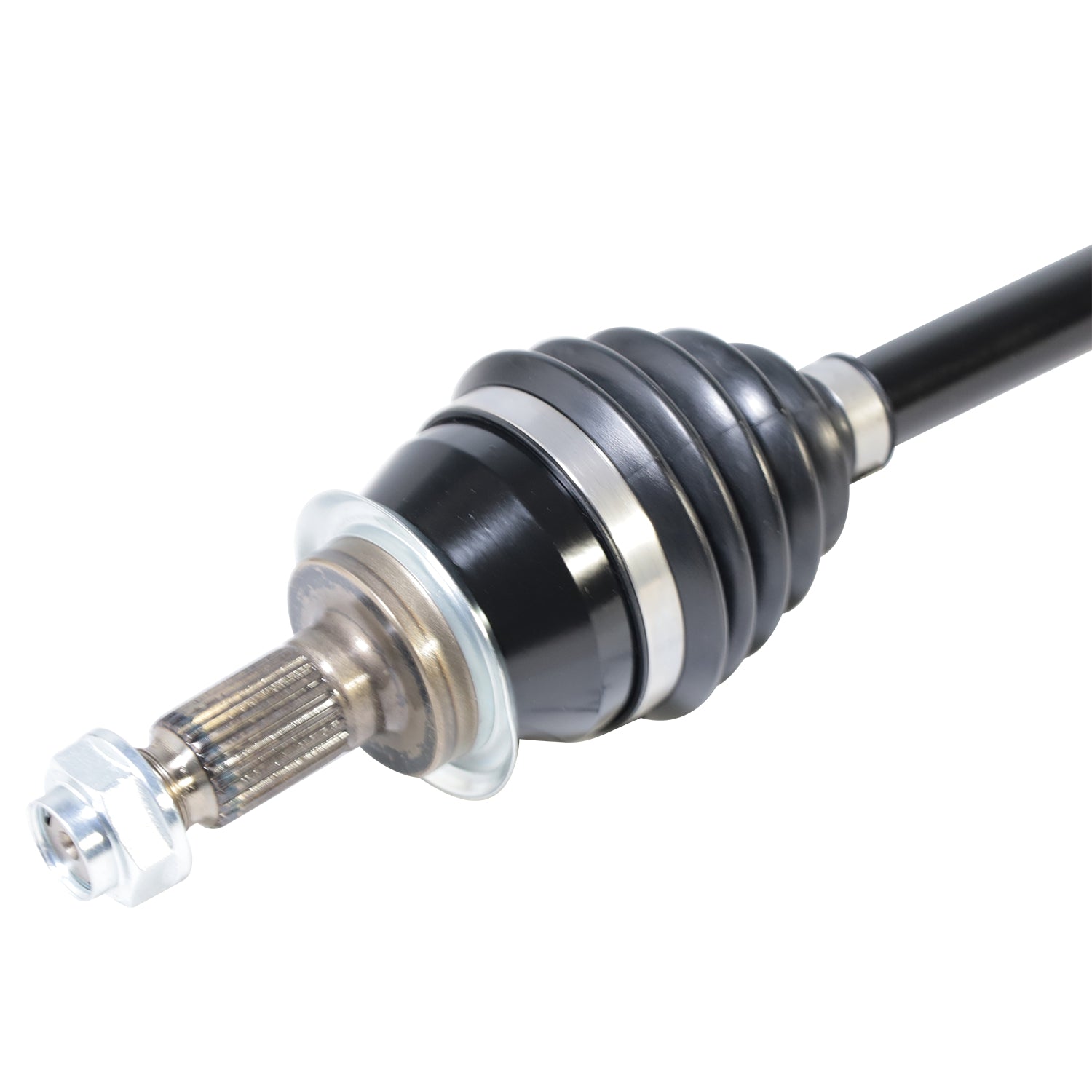 PR49507_3.jpg