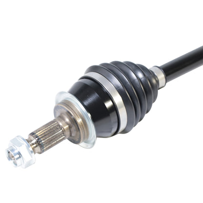 PR49507_3.jpg