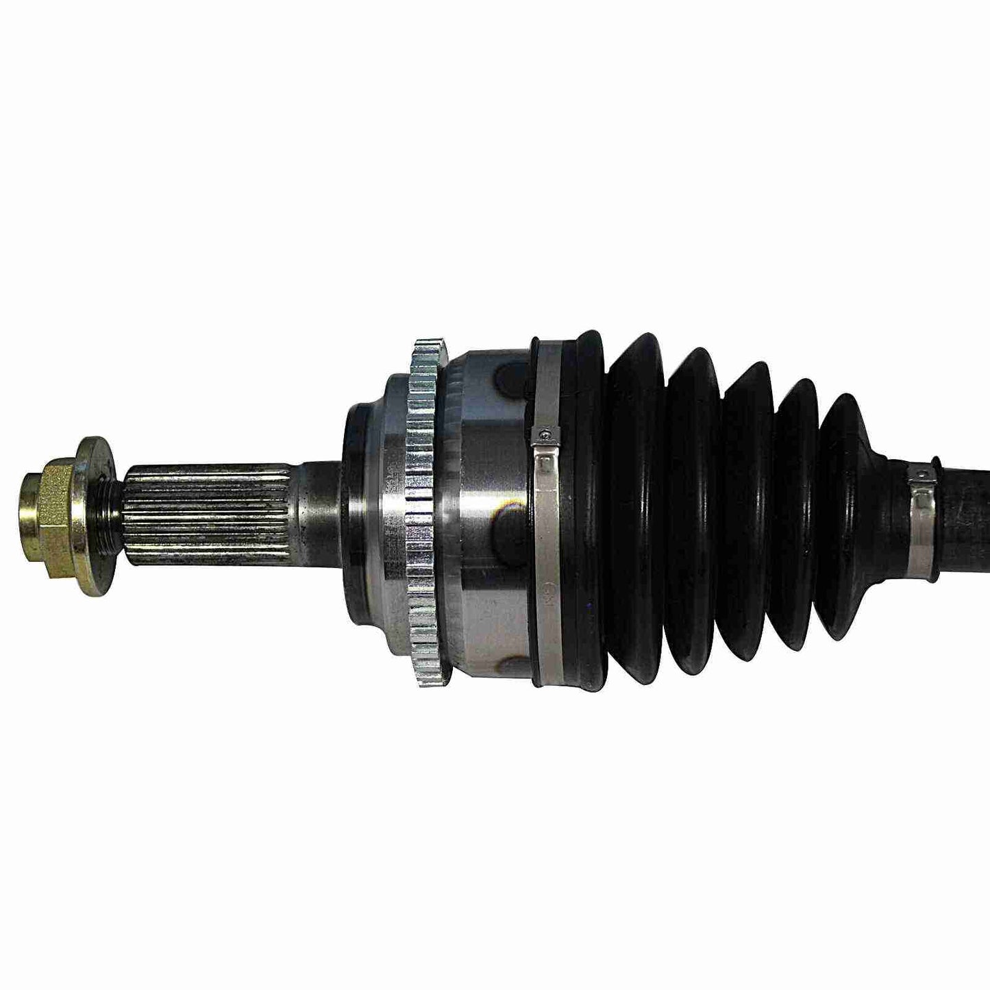 NCV11559-1.jpg