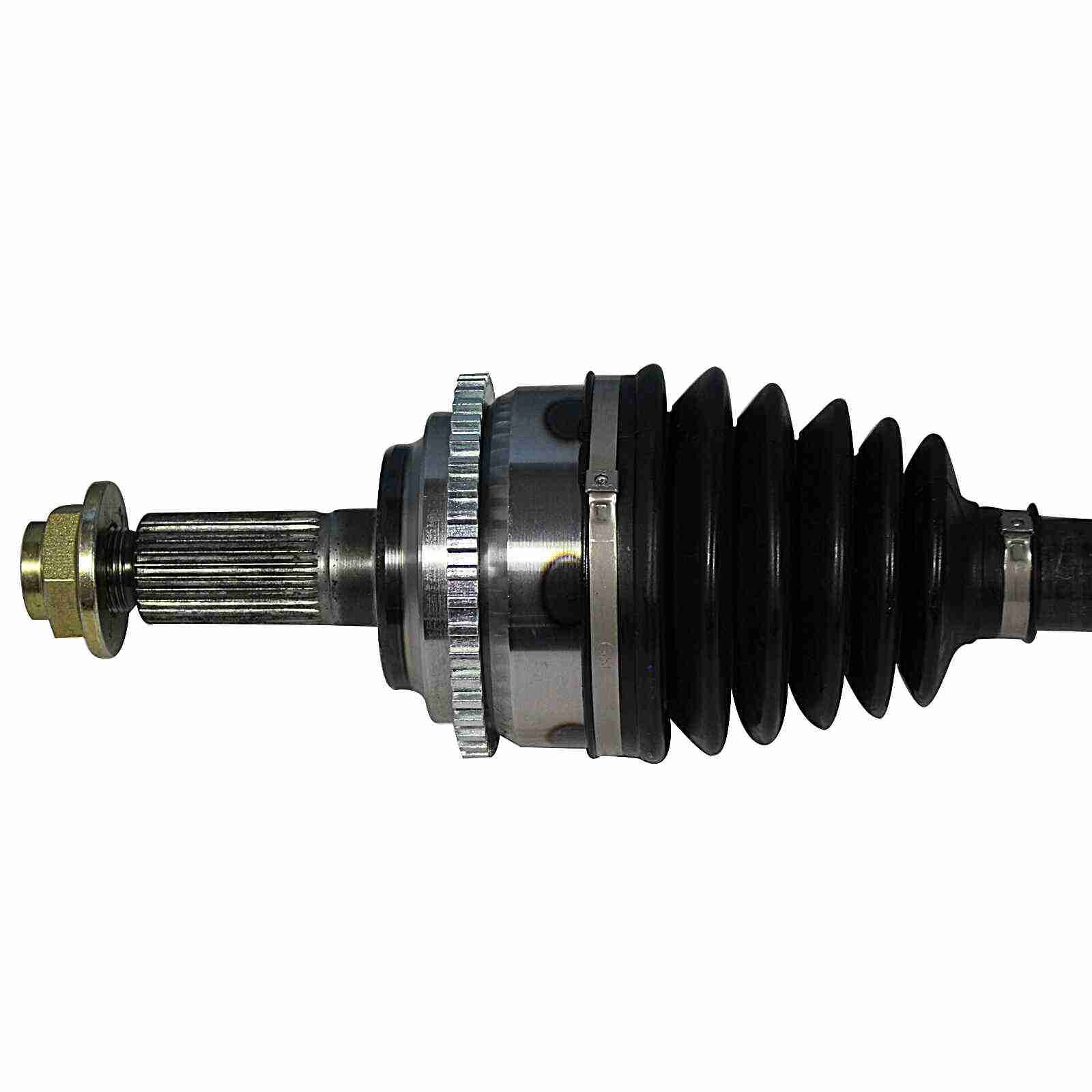 NCV11559-1.jpg