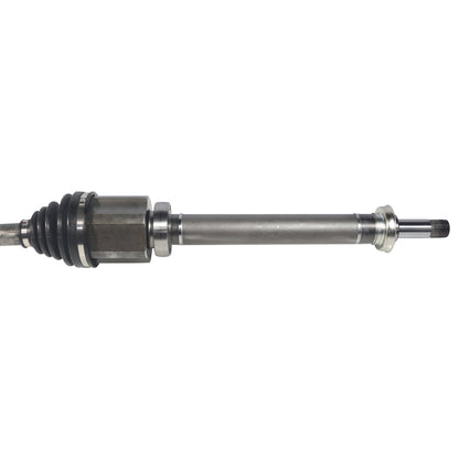 NCV11090_2.jpg