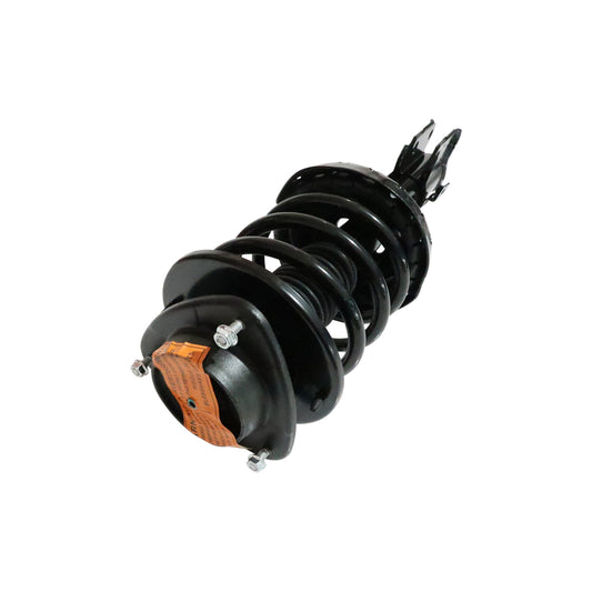 882719.jpg