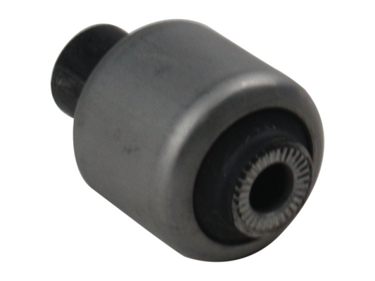 NS21223_1.jpg