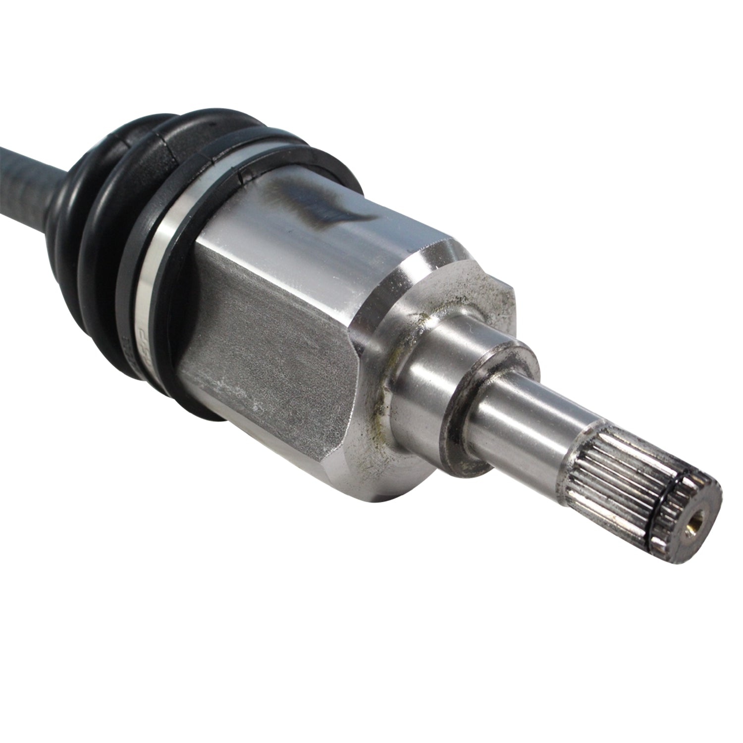 NCV11004_4.jpg