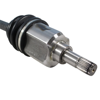 NCV11004_4.jpg