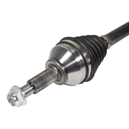 NCV11219_3.jpg