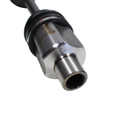 NCV11551_4.jpg