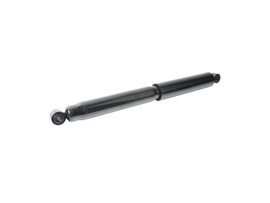 GS8036.jpg