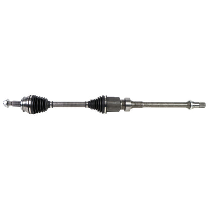 NCV47083.jpg