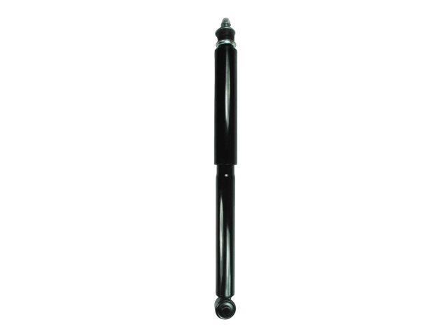 GS8074.jpg