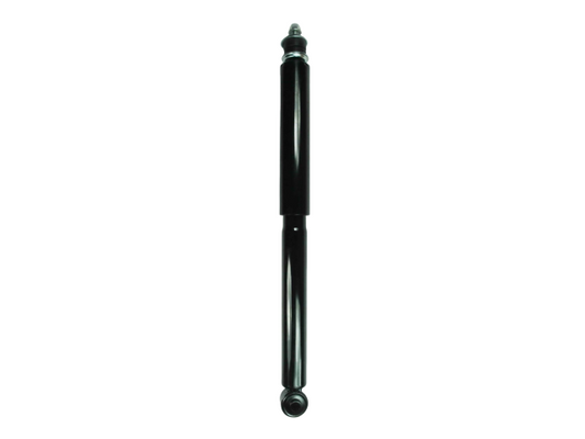 GS8074.jpg
