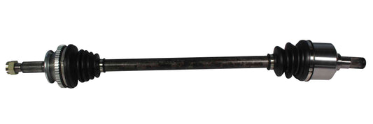 NCV36595.jpg