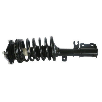 875007_2.jpg