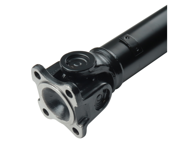 PS900193_3.jpg