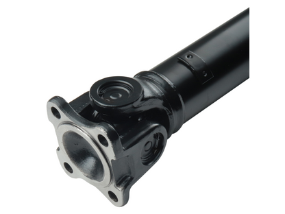 PS900193_3.jpg