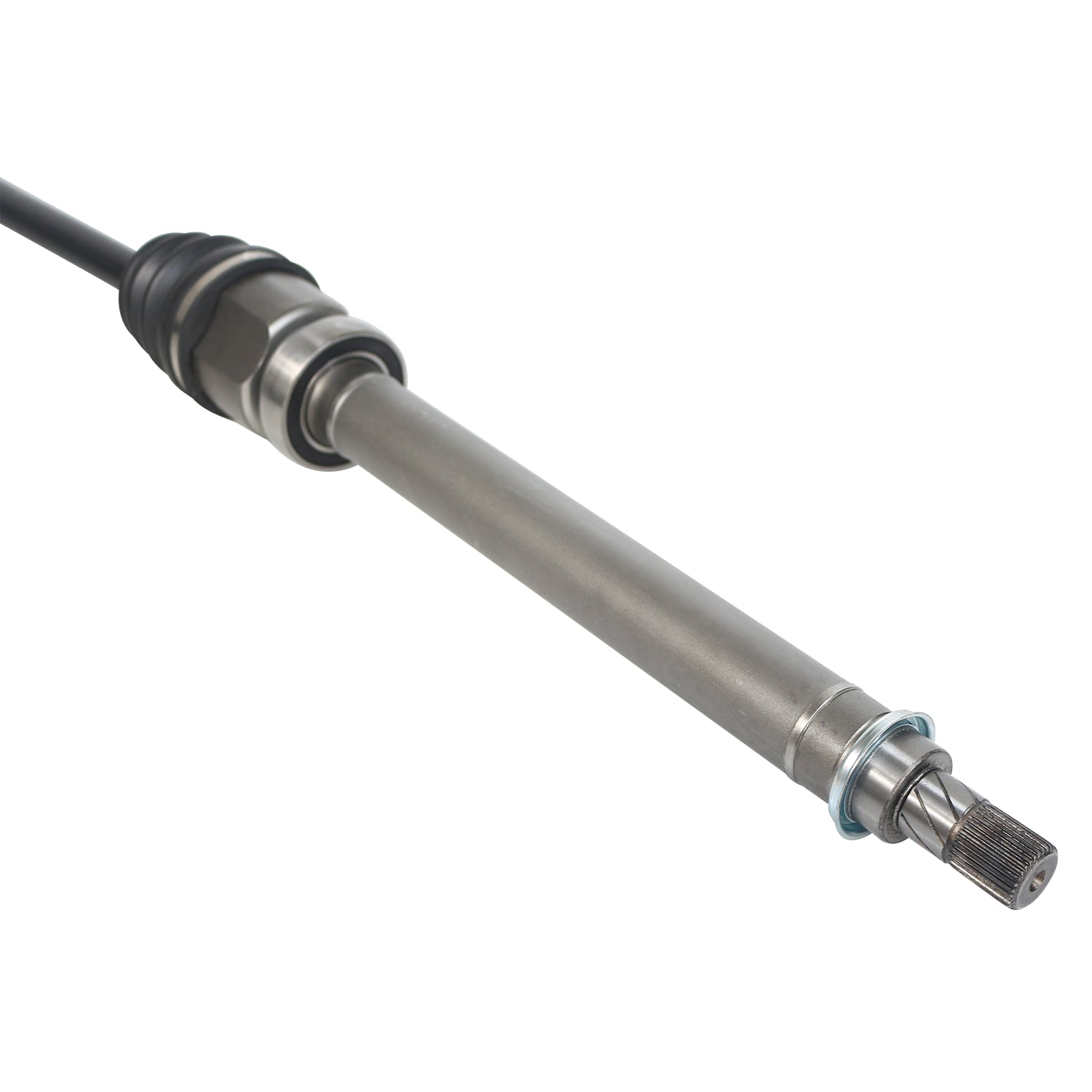 NCV11054_4.jpg