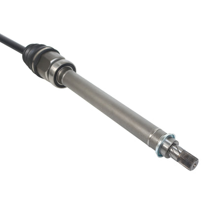 NCV11054_4.jpg