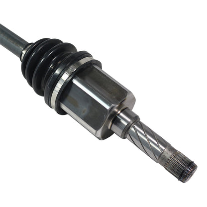 NCV11091_4.jpg