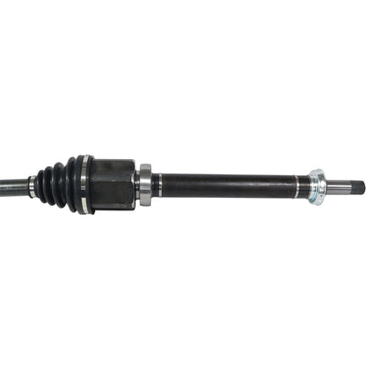 NCV11118_2.jpg