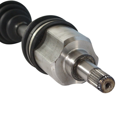 NCV11007_4.jpg