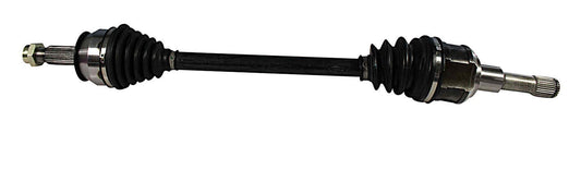 NCV11995.jpg