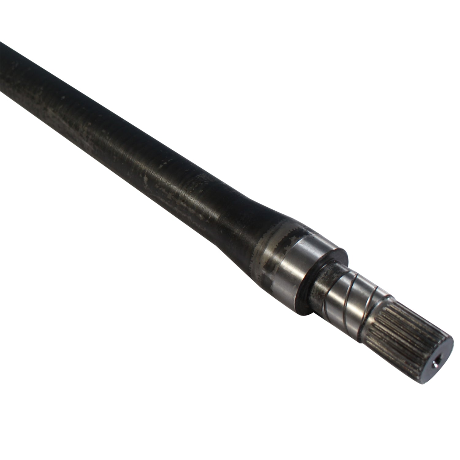NCV73016_4.jpg