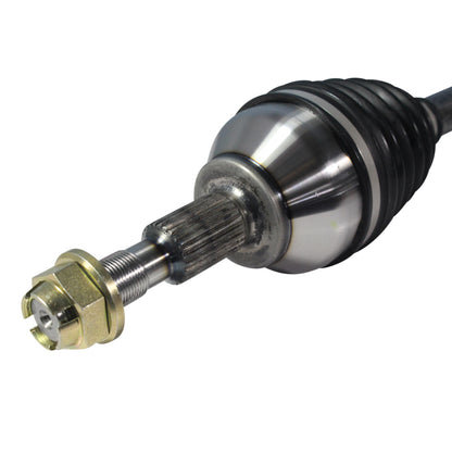 NCV11191_3.jpg
