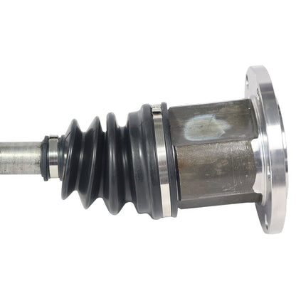 NCV12021_2.jpg