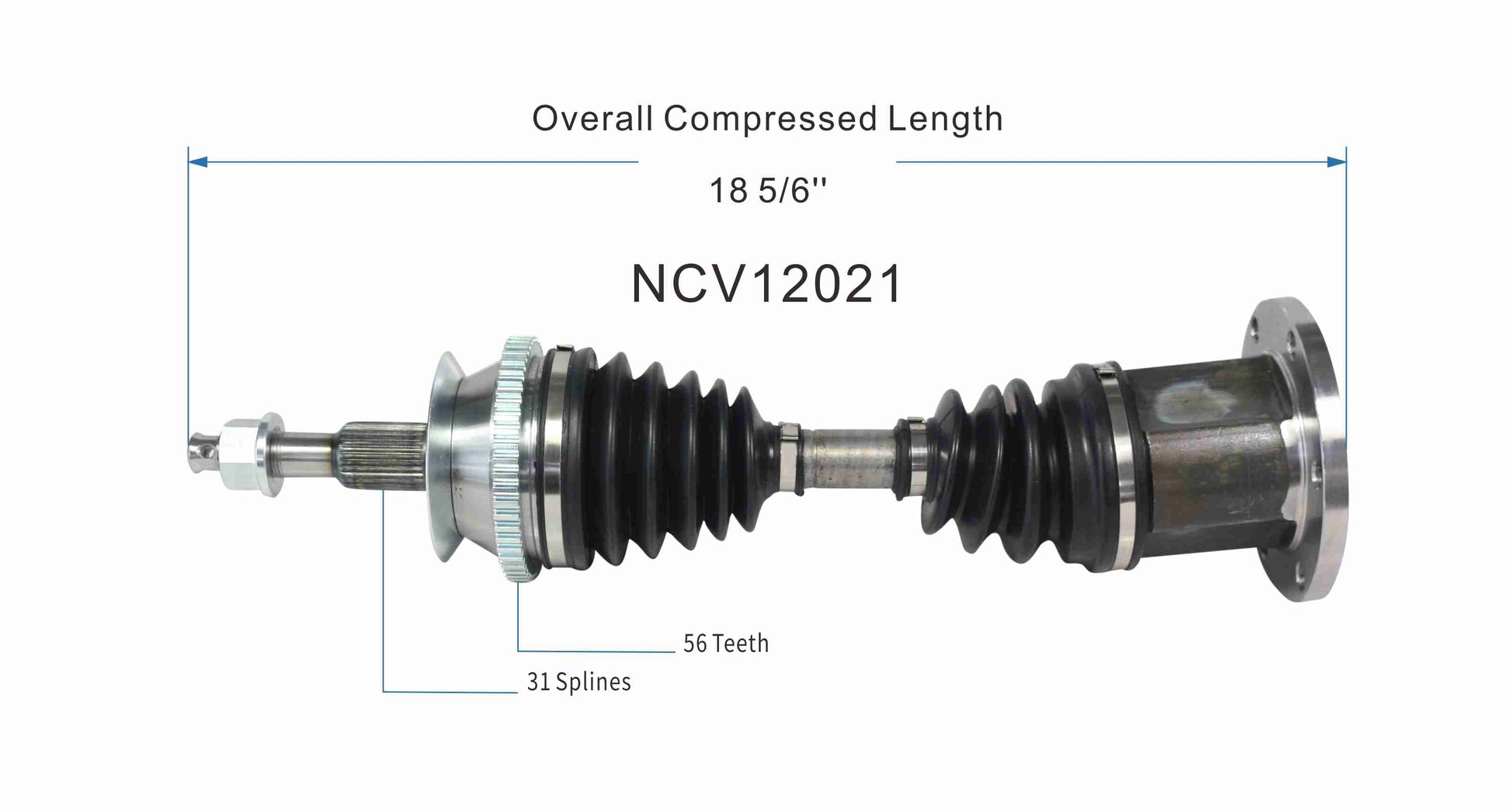 NCV12021_SPE.jpg