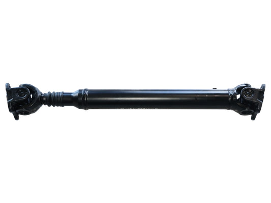 PS900346.jpg