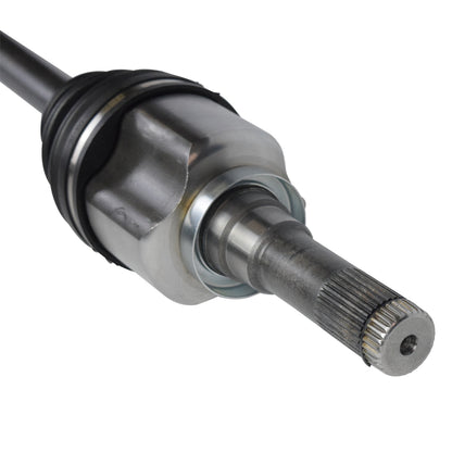 NCV11089_1.jpg