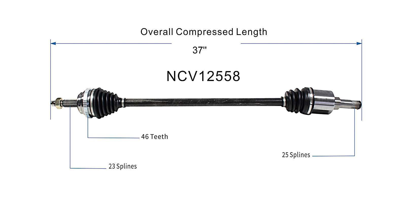NCV12558_SPE.jpg