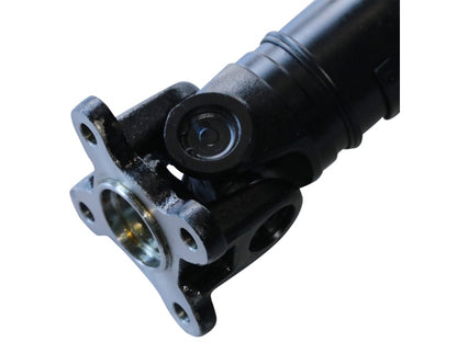PS900268_2.jpg