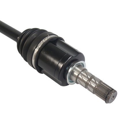 PR66000_4.jpg