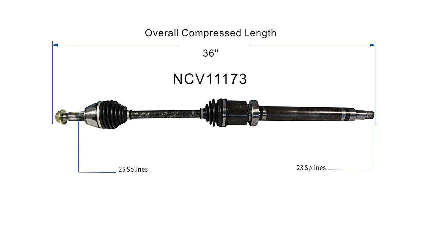 NCV11173_SPE.jpg