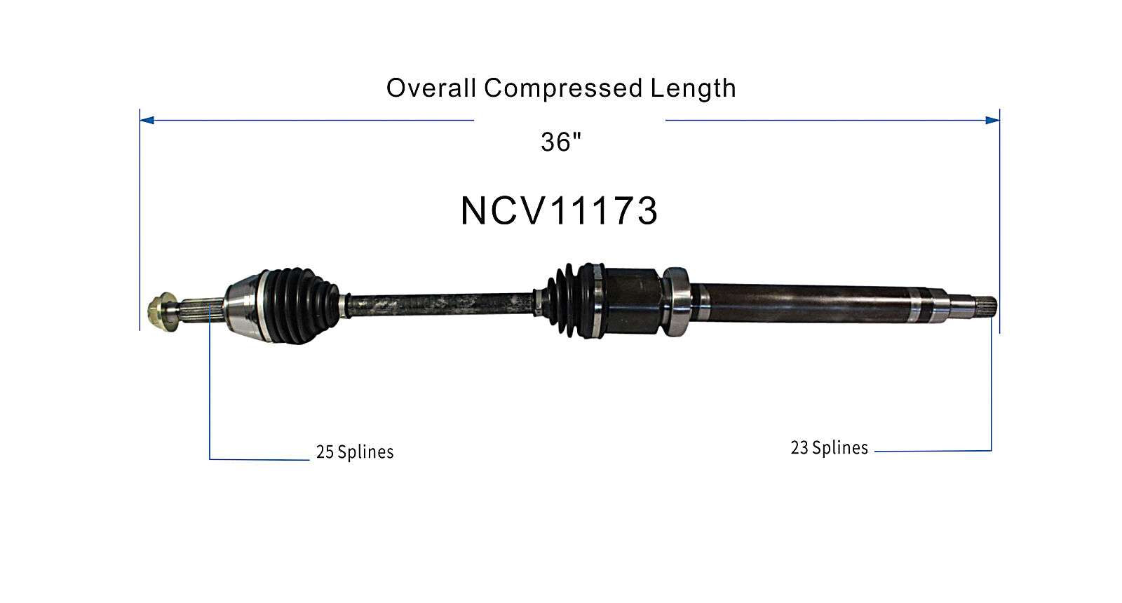 NCV11173_SPE.jpg