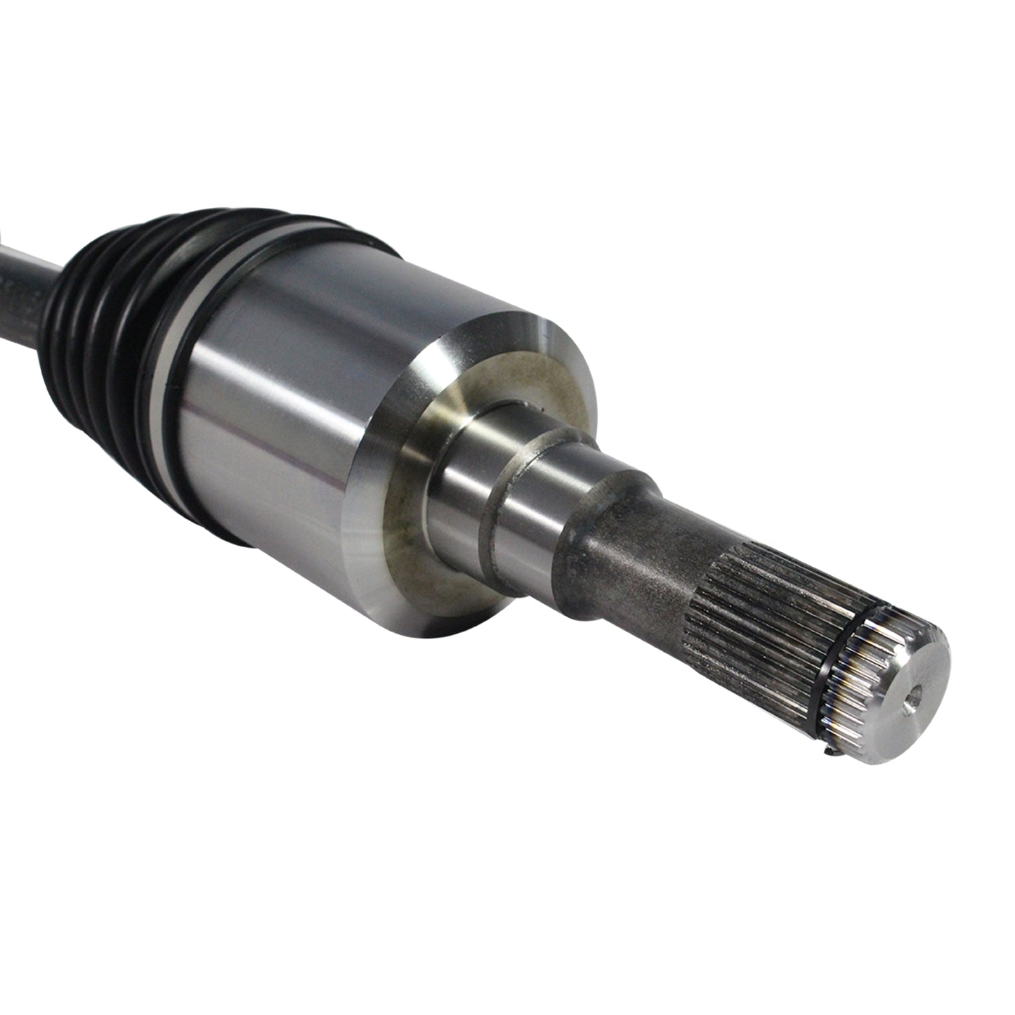 NCV11169_4.jpg