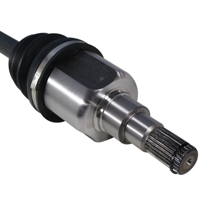 NCV12002_4.jpg