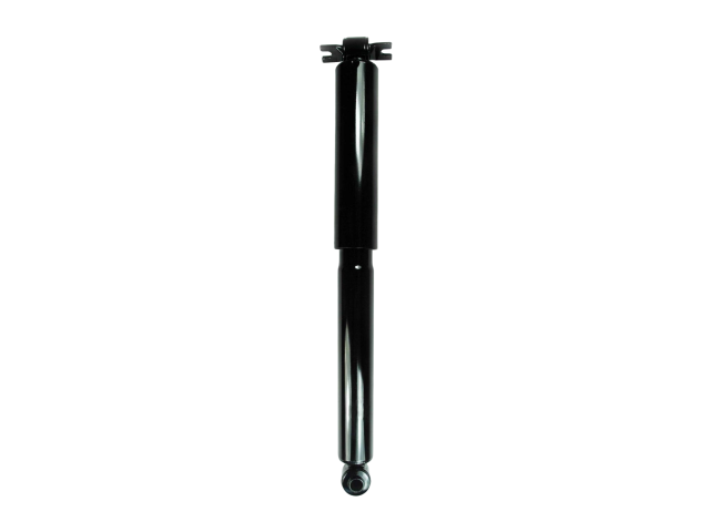 GS8154.jpg