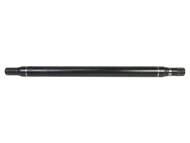 NEX48003.jpg