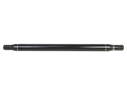 NEX48003.jpg