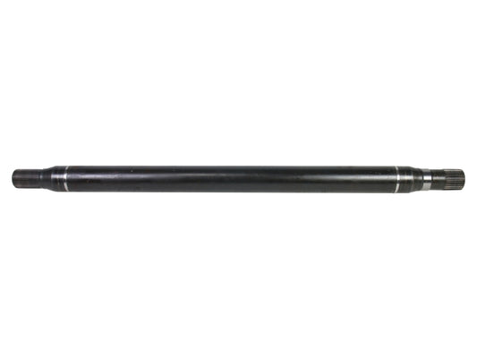 NEX48003.jpg