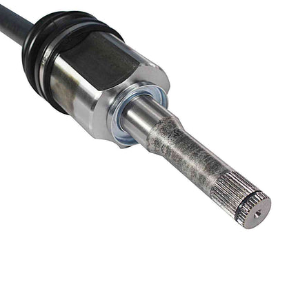 NCV11070-4.jpg